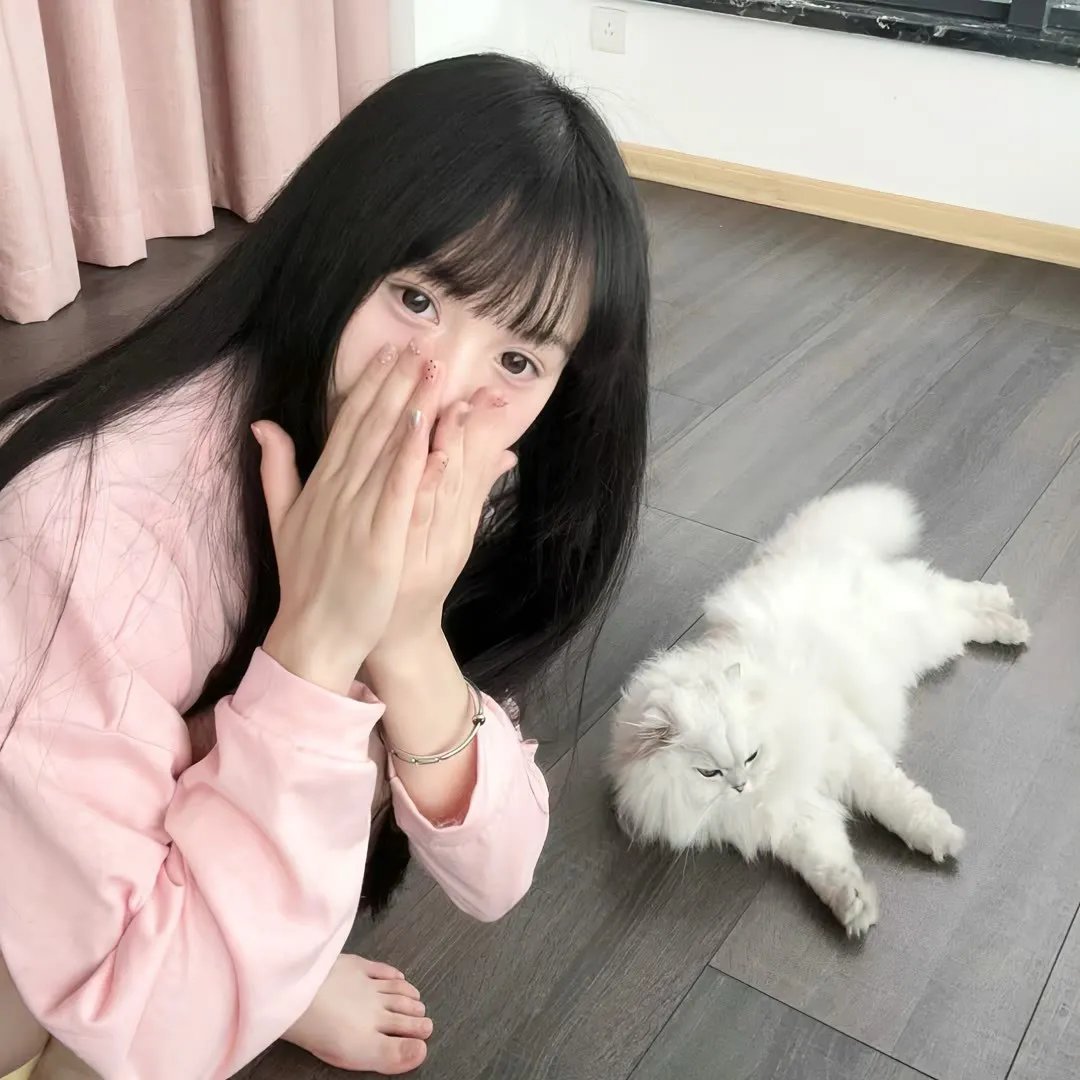 猪太狼的夏天